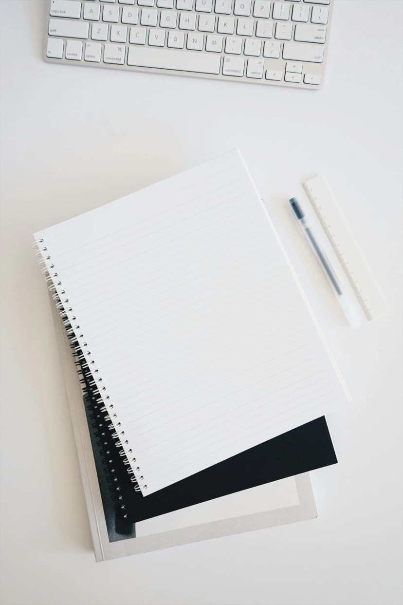 Professional Legal Writing Services by Law Lion